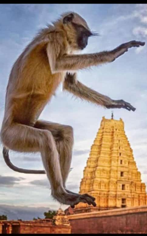 Mamatha Guest Inn Hampi Bagian luar foto